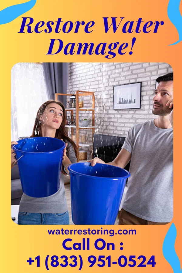 water restoration Ace Water Mitigation Inc Bon Aqua Junction