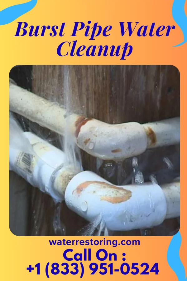 Burst Pipe Water Cleanup in Bon Aqua Junction, TN