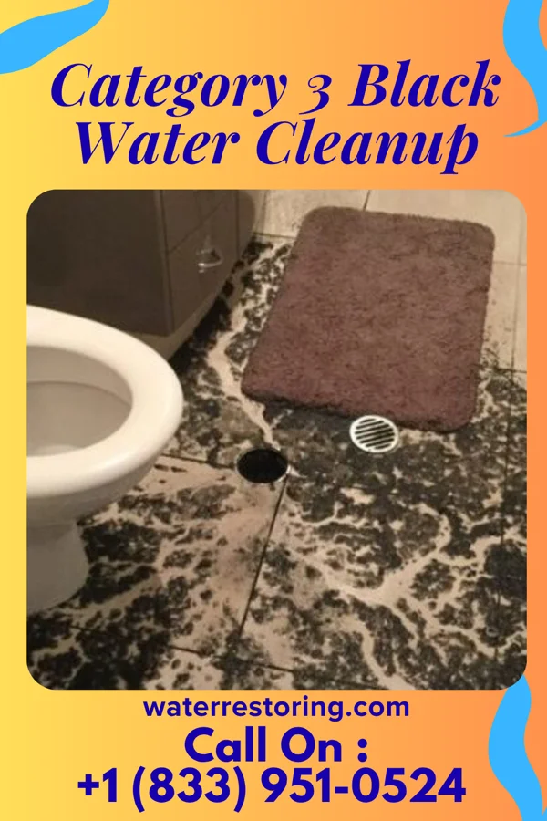 Category 3 Black Water Cleanup in Bon Aqua Junction, TN