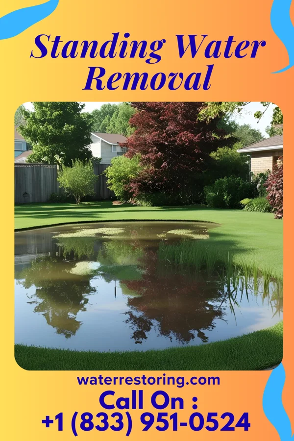 Standing Water Removal in Bon Aqua Junction, TN